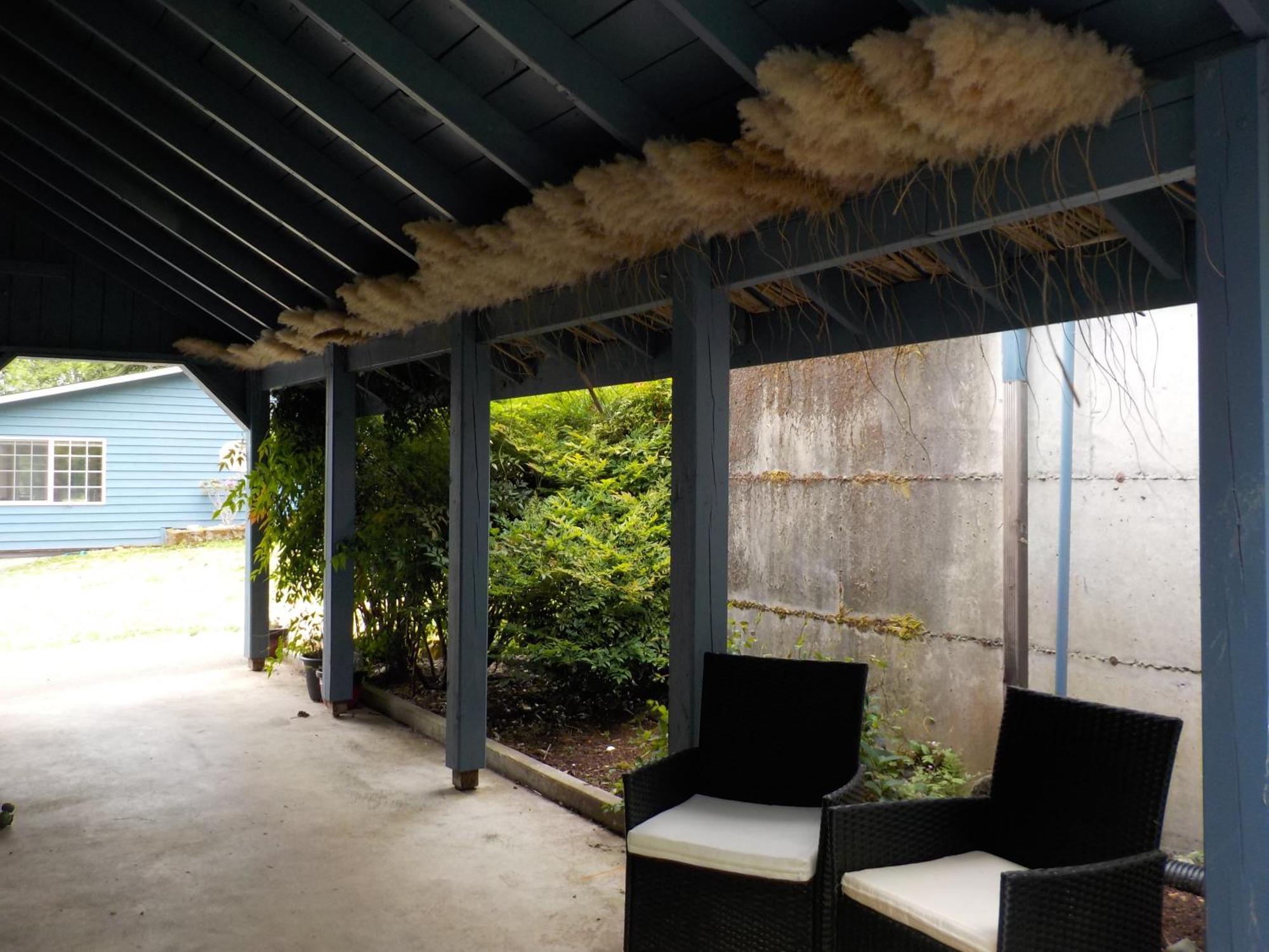 Oceanfront Studio/Loft: Alpacas, Oysters & Kayaks Shelton Exteriér fotografie